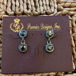 Price Drop❗️Premier Designs Graphite Drop Earring